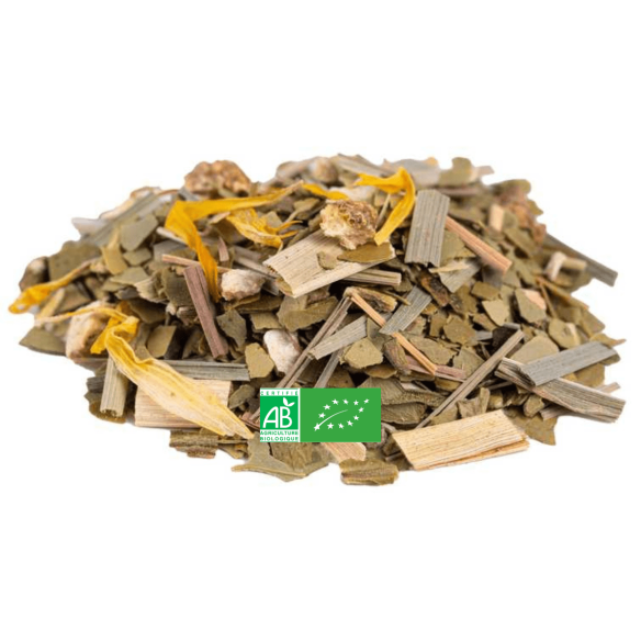 Maté Citron-Pamplemousse