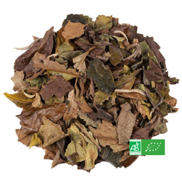 Thé blanc Pai Mu Tan Thé blanc Pai Mu Tan