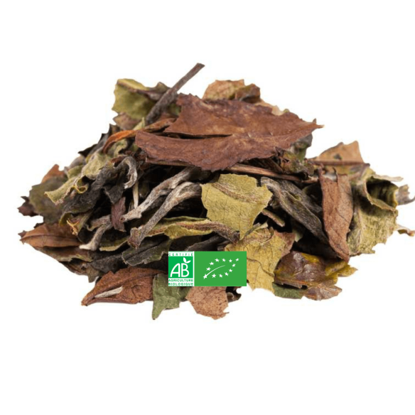 Thé blanc Pai Mu Tan Thé blanc Pai Mu Tan