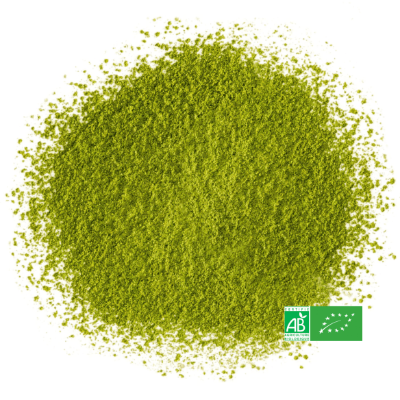 Matcha Japonais Hisui