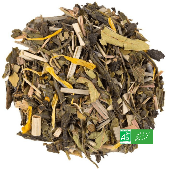 Thé Vert Nofretetea