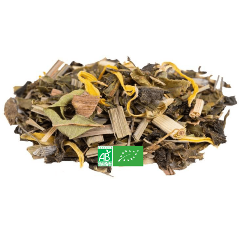 Thé Vert Nofretetea