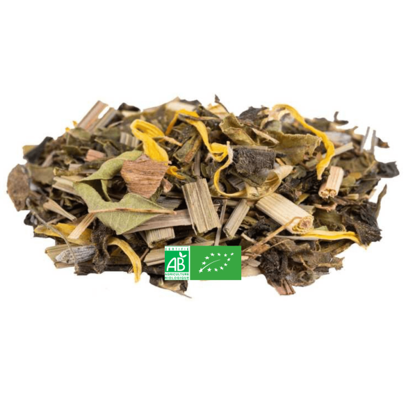 Thé Vert Nofretetea