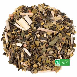 Infusion Amincissante 2