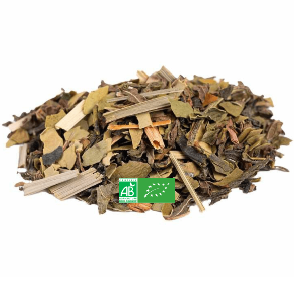 Infusion Amincissante