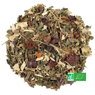 Infusion Buvez-Eliminez 2