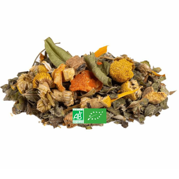 Infusion Digestion Légère