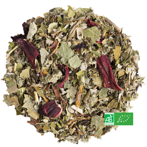 Infusion Jolies Jambes