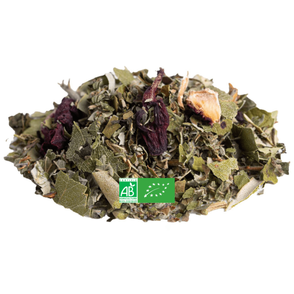 Infusion Jolies Jambes