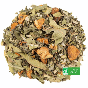 Infusion Verveine Mélisse 2