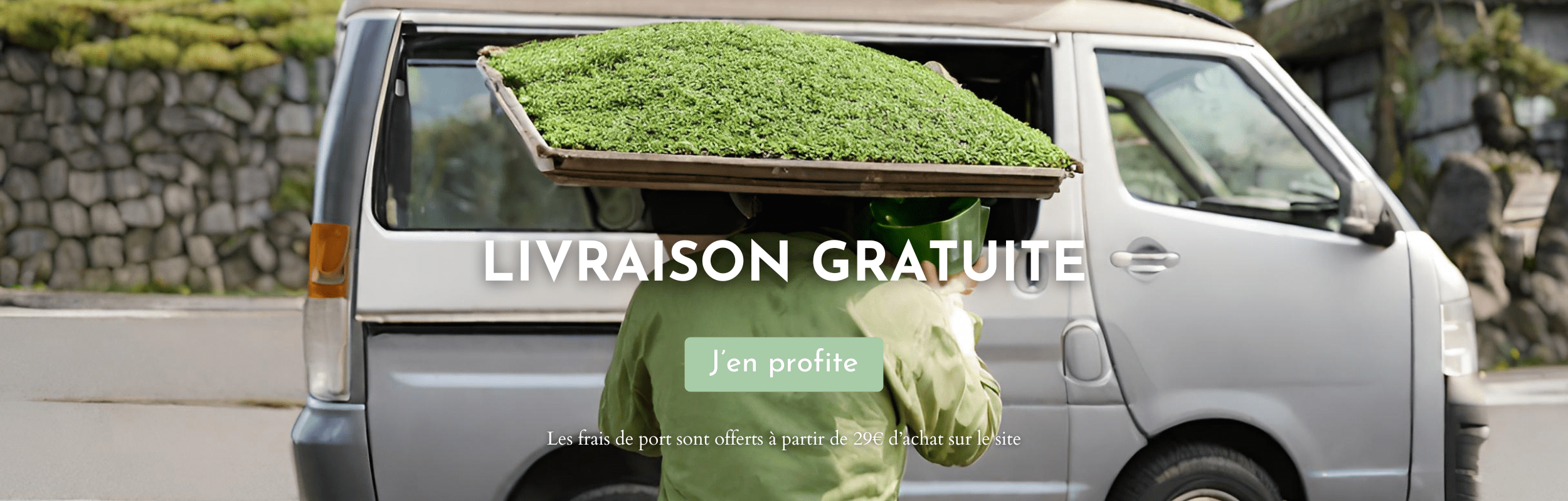 livraison offerte