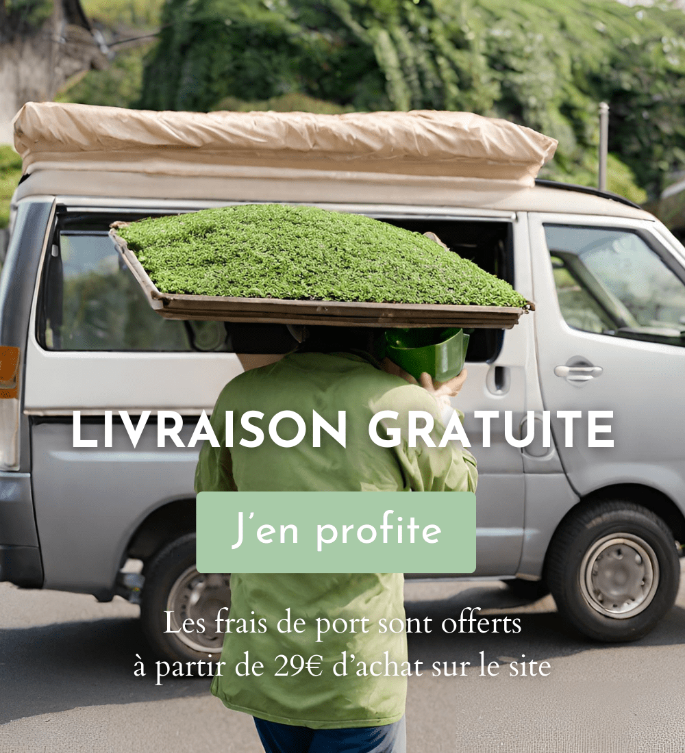 livraison gratuite