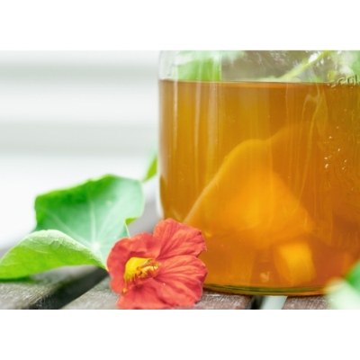 Le Kombucha